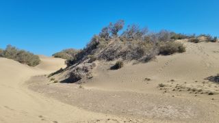 2023-GC-Dunas_Maspalomas-080.jpg